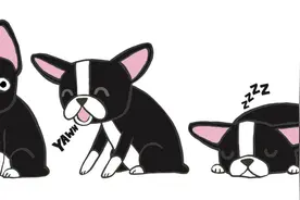为什么漫画中要用“Zzz”表示睡眠呢？图片