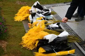 清明的中国式浪漫：王伟墓前有歼20，袁隆平墓前有稻穗小提琴图片