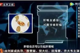 春天养肝是大事，但这2个误区可别犯！选对茶饮方，养肝效果加倍图片