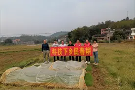 广西梧州市龙圩区：“三个一线”夯实驻村责任促春耕保生产图片