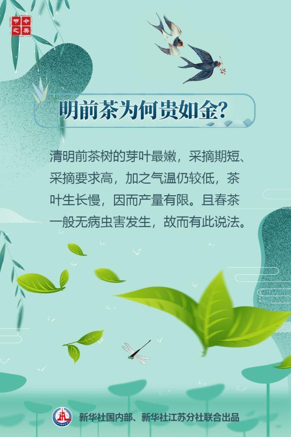 娓呮槑鑺傛皵鏈変綍鐗圭偣锛熶负浣曡鈥滄槑鍓嶈尪锛岃吹濡傞噾鈥濓紵