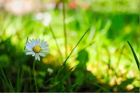 征文‖父亲的天堂图片