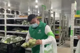 专访驰援上海果蔬分拣员：每天工作18小时，守着生鲜吃着泡面图片