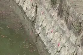 千万别碰！千万别碰！近期广东高发！寄生虫可多达6000条图片