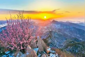 天津：蓟州区农家院4月5日开放图片