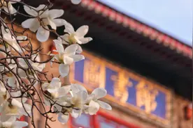 想见你，在18℃的师大春风里！图片