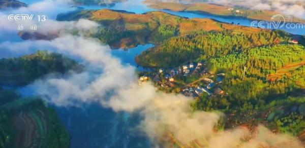 清明节为何又称“植树节”？