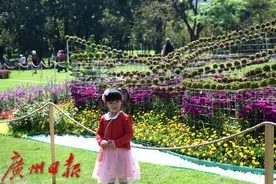 图集｜清明假期，阳光灿烂图片