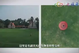 云过泼水节：小玉带你逛景区——中国科学院西双版纳热带植物园图片