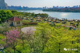 @南宁人，你抢到位置露营了吗？看看这阵势→图片