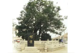 美景山东｜千年古县博兴和它的麻大湖图片