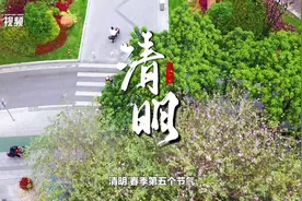 气清景明，万物皆显，食艾正当时｜廿四学堂图片