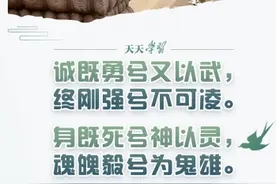 最闪亮的坐标丨诚既勇兮又以武，终刚强兮不可凌图片