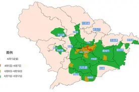 石家庄易过敏人群注意啦！今天开始进入杨柳絮飘飞期图片