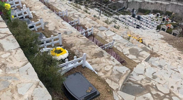 辣椒鲨鱼身体乳