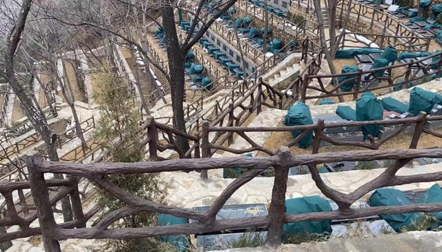 辣椒鲨鱼身体乳