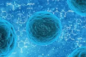 生抽、老抽、酱油、味极鲜…竟有这么多区别！原来以前都用错了图片