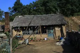 清明｜奶奶走了图片