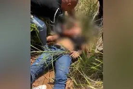 南宁马山县两村民上山扫墓遭马蜂袭击，一死一伤视频封面