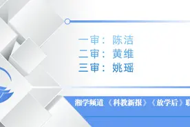 控增量、减存量、调结构、稳队伍——益阳强力推动规范民办义务教育发展工作图片