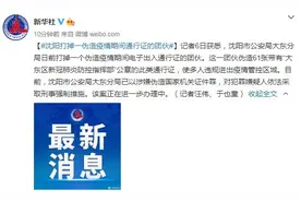 沈阳打掉一伪造疫情期间通行证的团伙图片