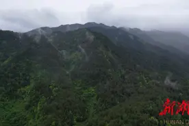 风味瑶都｜江华：春天的竹笋酿图片