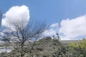 什么才是好的爱情图片