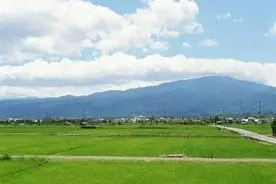 散文Ⅰ春天的田野图片