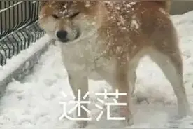 每日一笑 | 如何回答年龄问题图片