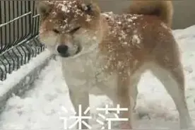 每日一笑 | 如何回答年龄问题图片