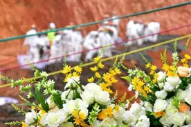 不幸发生飞行事故，保险一般怎么理赔？图片