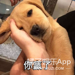 11岁就是小戏骨？徐巍罗圈粉无数，檀健次宋威龙童年都是他？