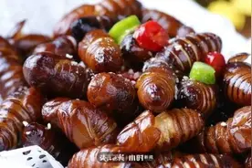 吃蚕蛹“补身子”，差点补出了事图片