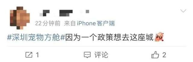 深圳宠物