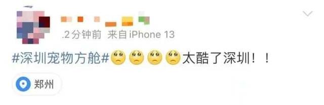 深圳宠物