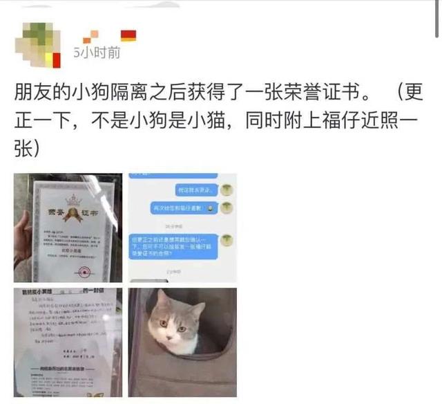 深圳宠物