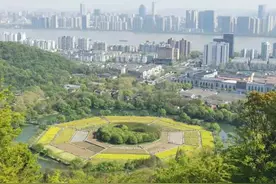 爆料：杭州市区这片17亩花海已经盛放！三个起点，三条登山线路，错过真要等明年图片