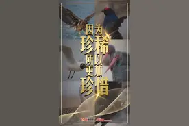 河北珍稀动物知多少图片