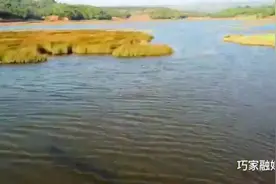 巧家马树镇：群鸟舞动红土地，花果飘香醉云林图片
