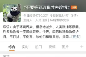 国际珍稀动物保护日｜野生保护动物频频在黑龙江“同框”生态环境亮出最美底色图片