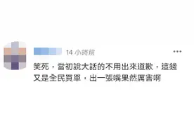“绿委”关注华航“正名”进度，苏贞昌承认更改涂装影响飞出去难度，网友嘲讽图片