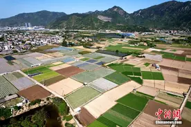 航拍福建闽侯美丽的乡村田野图片