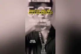 沈阳一小区居民每天都被“电钻声”震醒，原是一只啄木鸟在使坏图片