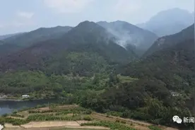 放“冲天炮”致百亩山林“失火”，南宁一男子被刑拘图片