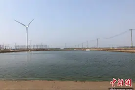 探访江苏盐城蟹苗基地：科技加持，“反季”大闸蟹爬上春夏餐桌图片