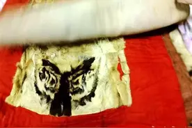 市民搬家翻出祖传“虎皮”制品，警方与律师：不能买卖只能自用图片