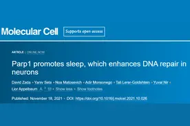 别熬夜了！你身体里时刻都在断裂的DNA，睡够了才能修复好图片