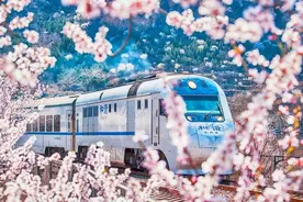 “花样”黄冈上线啦！图片