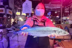 春鲅鱼，渐走俏图片