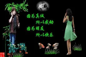 文｜枫叶你是谁，就会遇见谁图片